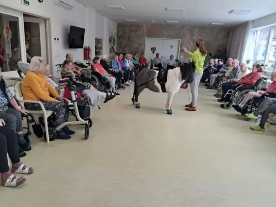 WhatsApp Image 2026-02-26 at 14.59.52 (2)