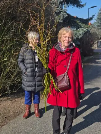 WhatsApp Image 2026-03-05 at 12.53.34 (3)