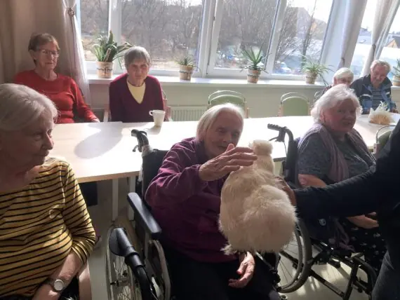 WhatsApp Image 2026-03-09 at 15.53.44