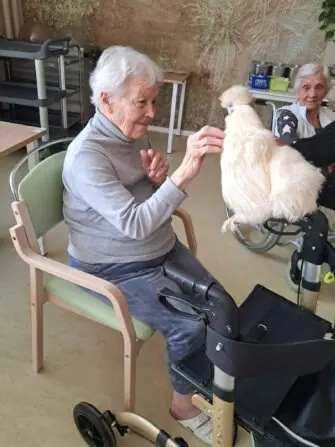 WhatsApp Image 2026-03-09 at 15.53.46