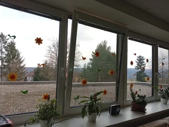 WhatsApp Image 2026-03-10 at 14.52.21