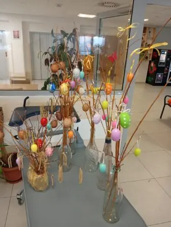 WhatsApp Image 2026-03-13 at 13.05.54