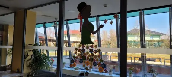 WhatsApp Image 2026-03-19 at 13.29.49 (3)