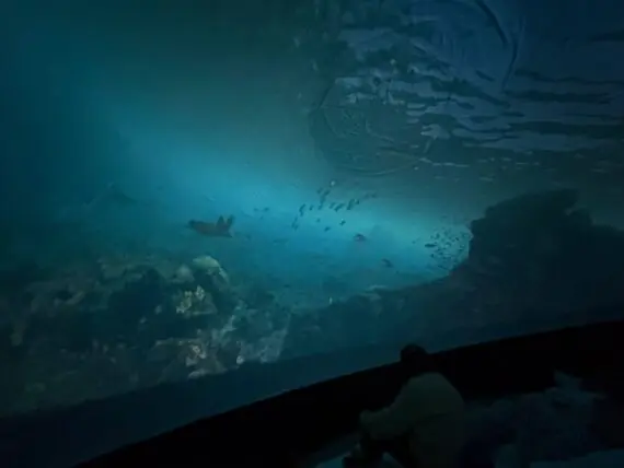 WhatsApp Image 2026-03-24 at 07.05.52 (1)