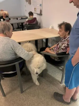 WhatsApp Image 2026-03-30 at 12.58.26