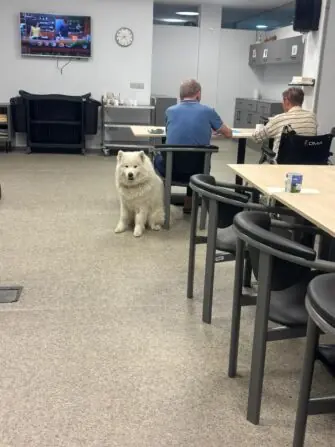 WhatsApp Image 2026-03-30 at 12.58.31.jpegggggg