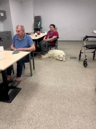 WhatsApp Image 2026-03-30 at 12.58.31.jpegkkkkk