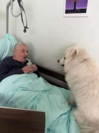 WhatsApp Image 2026-03-30 at 12.58.31.jpegllll