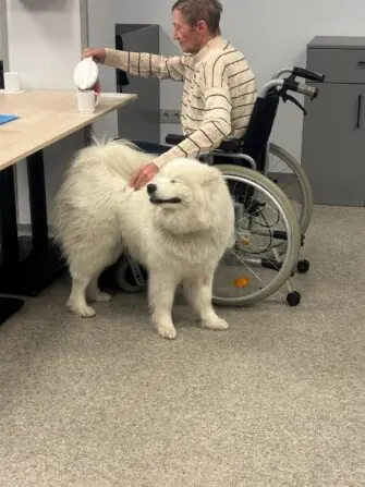 WhatsApp Image 2026-03-30 at 12.58.32.jpegfffff