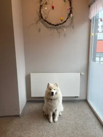 WhatsApp Image 2026-03-30 at 12.58.32.jpegfsfsff