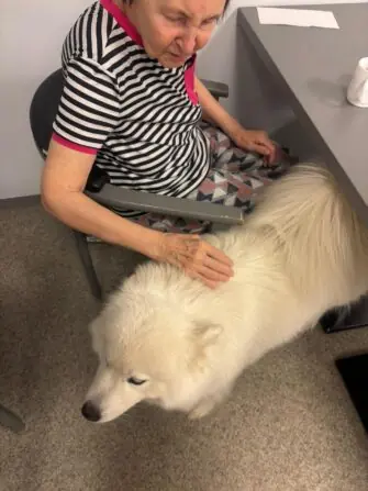 WhatsApp Image 2026-03-30 wttwtwtwat 12.58.32