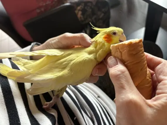 WhatsApp Image 2026-03-31 at 07.09.09 (2)