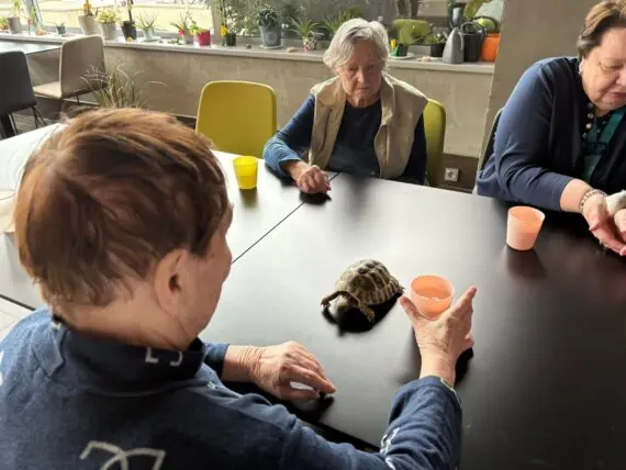 WhatsApp Image 2026-03-31 at 07.09.10 (4)