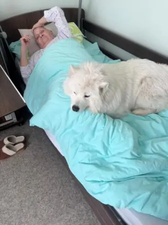 WhatstztzApp Image 2026-03-30 at 12.58.27