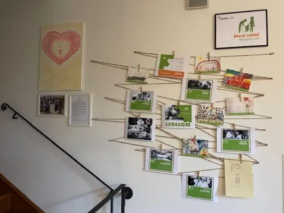 ZŠ Jana Palacha (12)