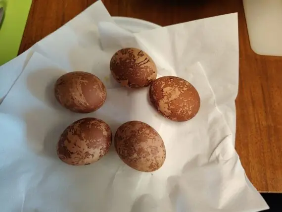 att.sAFvwN516OaNxPMBN3Hvt_Ty8kihCQ3xEzdthtgIl6o