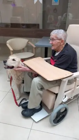 b9ba1114-4577-403f-91ae-ccce7234d979