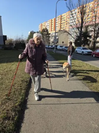 c85d9451-57fd-4ec5-8bac-5a16aea7e360