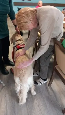 d8581f9e-5d0c-4532-b5fc-987486ab3ff1