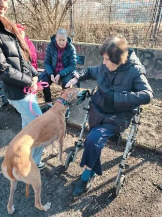 d8d3a32c-5b69-432c-b097-2e9ac763e021