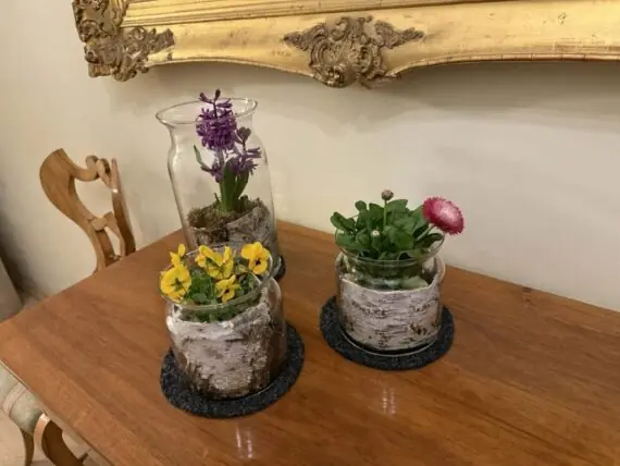 výlet na zámek kačina (28)