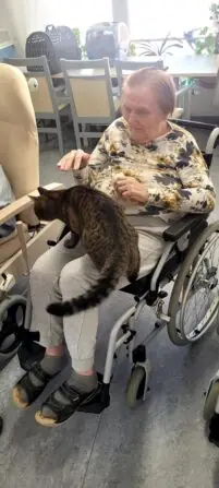 1 775 633 414 258