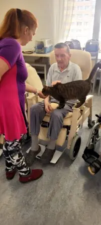 1 775 633 420 378