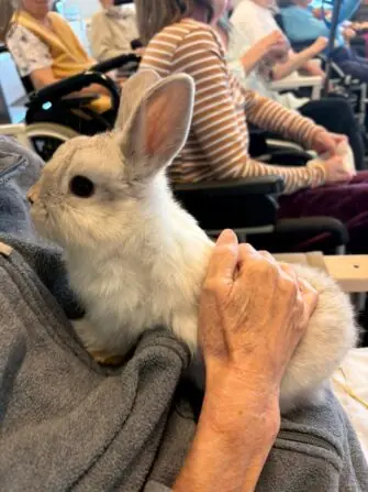 1ac7d574-7d64-4d10-9075-25b76b3964ed_001