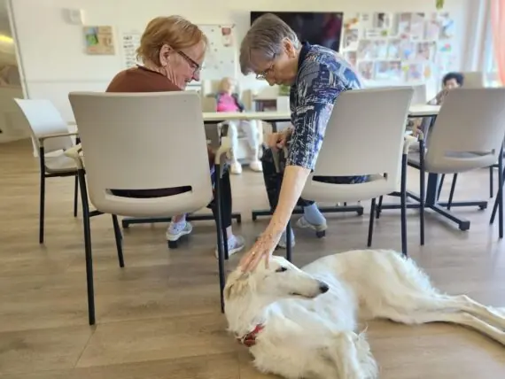 425a5e5f-b008-4bfb-894f-9f02ad0455da