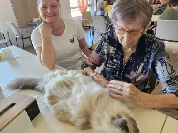 4353a755-6217-4008-860f-322f0111d462