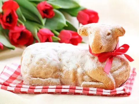 6d0eff93cee316f39fe8d7c5e23bb185 - kopie