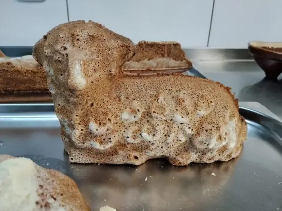 IMG-20260402-WA0007 - kopie