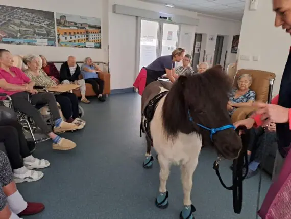 WhatsApp Image 2026-03-19 at 14.39.30