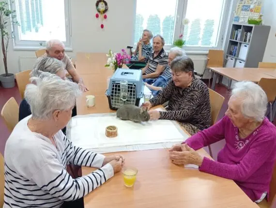 WhatsApp Image 2026-04-02 at 10.28.21 (3)