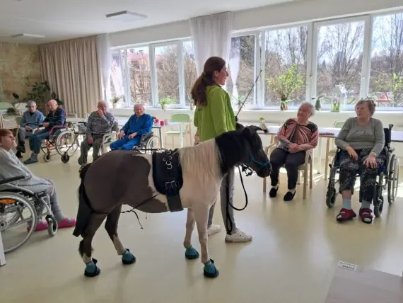 WhatsApp Image 2026-04-09 at 15.09.31 (1)