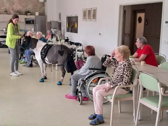 WhatsApp Image 2026-04-09 at 15.09.36