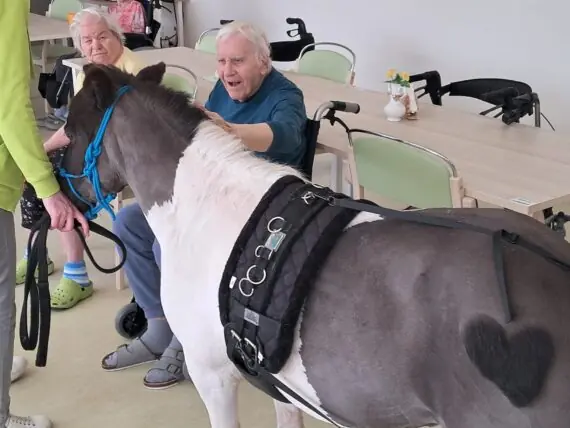 WhatsApp Image 2026-04-09 at 15.09.37