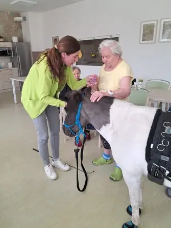 WhatsApp Image 2026-04-09 at 15.09.38