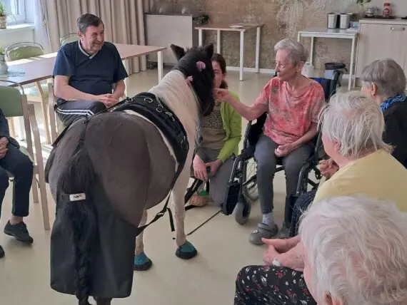 WhatsApp Image 2026-04-09 at 15.09.39 (1)