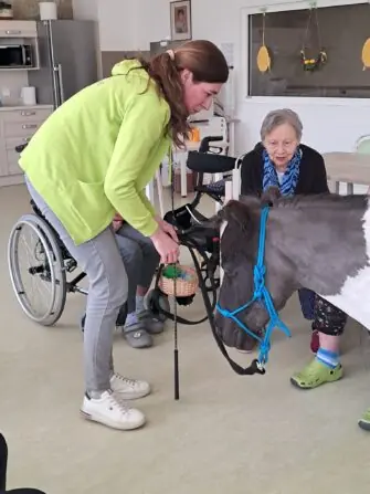 WhatsApp Image 2026-04-09 at 15.09.39