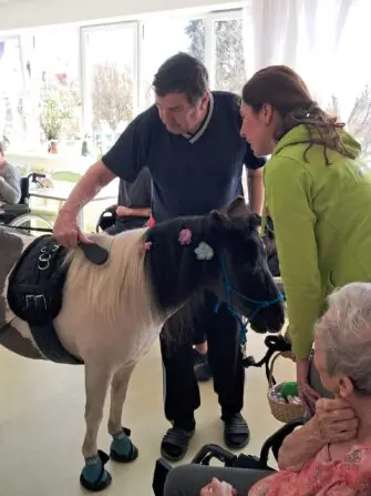 WhatsApp Image 2026-04-09 at 15.09.40