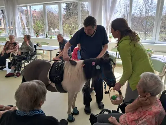 WhatsApp Image 2026-04-09 at 15.09.41