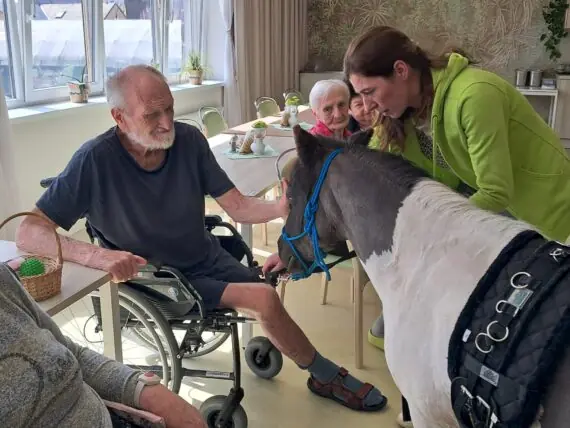 WhatsApp Image 2026-04-09 at 15.10.04 (1)