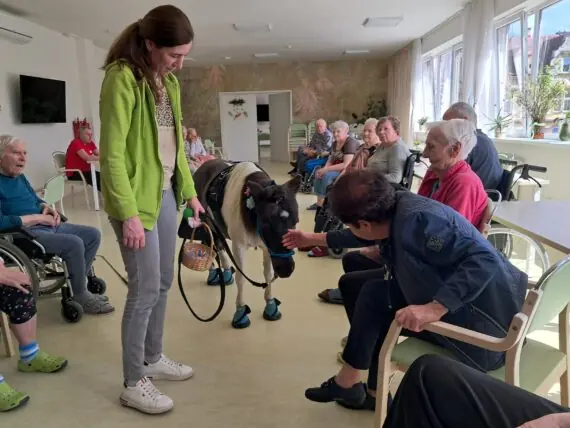 WhatsApp Image 2026-04-09 at 15.10.04