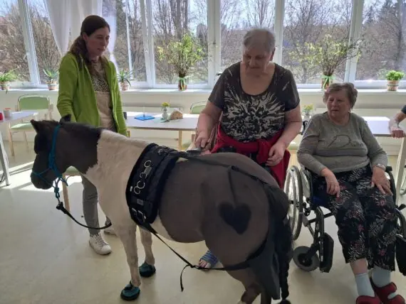 WhatsApp Image 2026-04-09 at 15.10.11