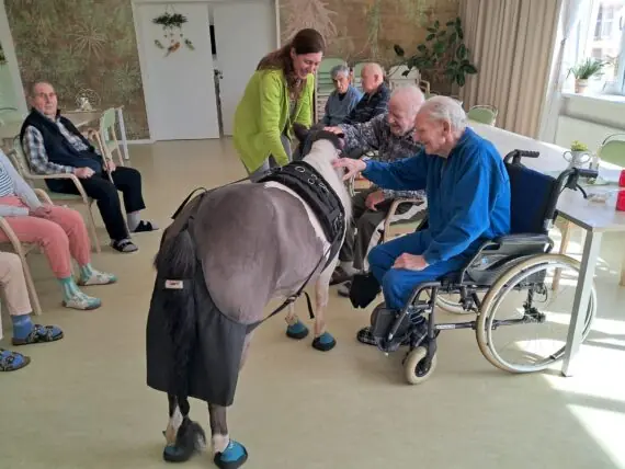 WhatsApp Image 2026-04-09 at 15.10.12