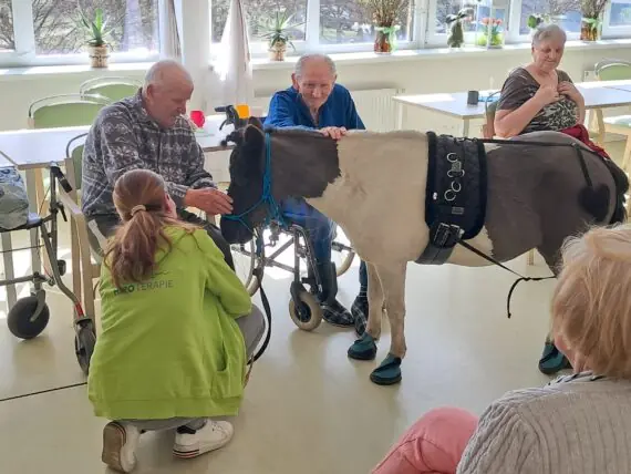 WhatsApp Image 2026-04-09 at 15.10.13