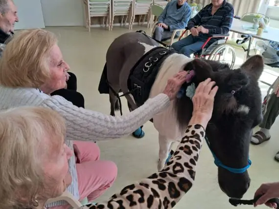 WhatsApp Image 2026-04-09 at 15.10.25