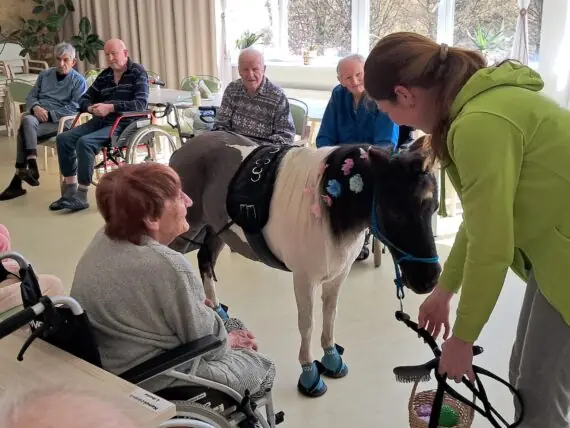 WhatsApp Image 2026-04-09 at 15.10.33