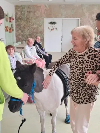 WhatsApp Image 2026-04-09 at 15.10.34